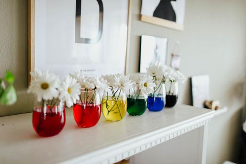 rainbow daisies for St Patrick's Day